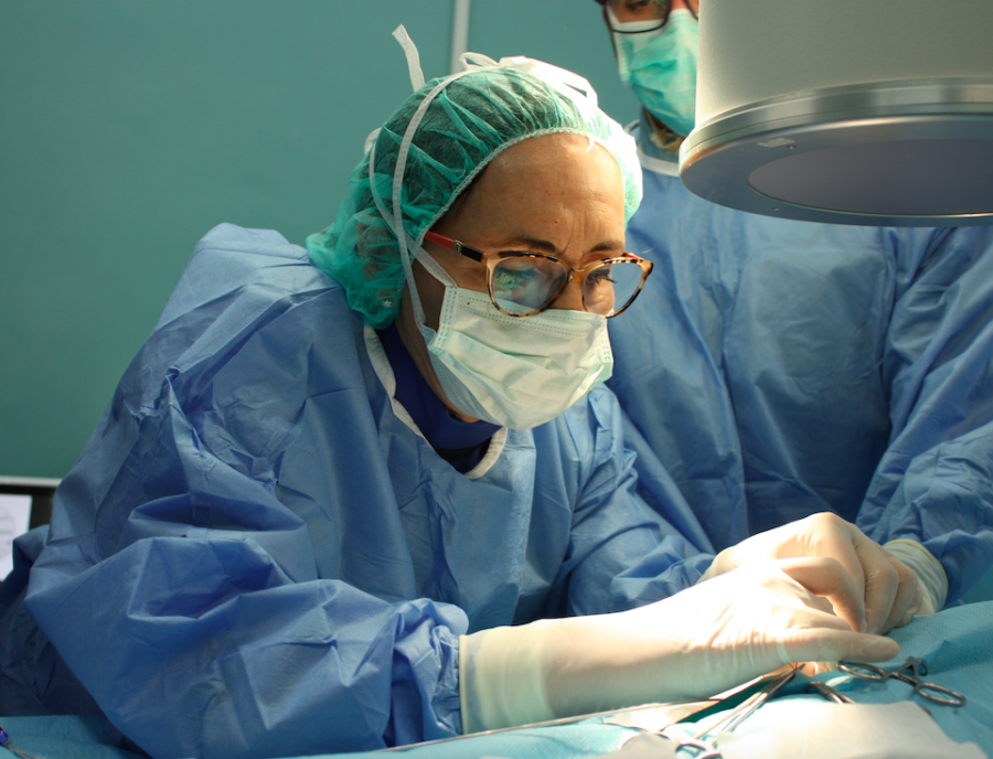 La veterinaria cardióloga Mª Josefa Fernández del Palacio, en un momento de la cirugía al paciente Tessa en el Hospital Veterinario UMU.