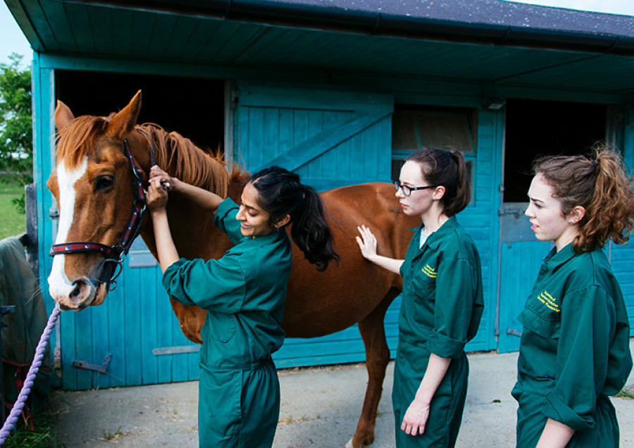 Veterinary students