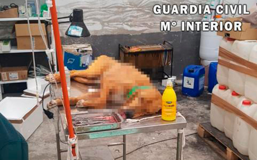Sin título 1