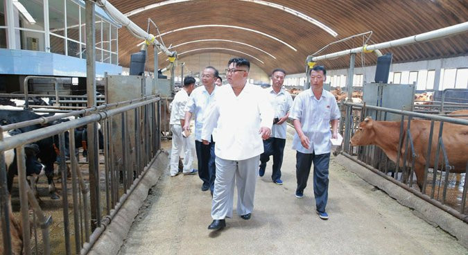Kim Jong Un livestock farm KCNA 02
