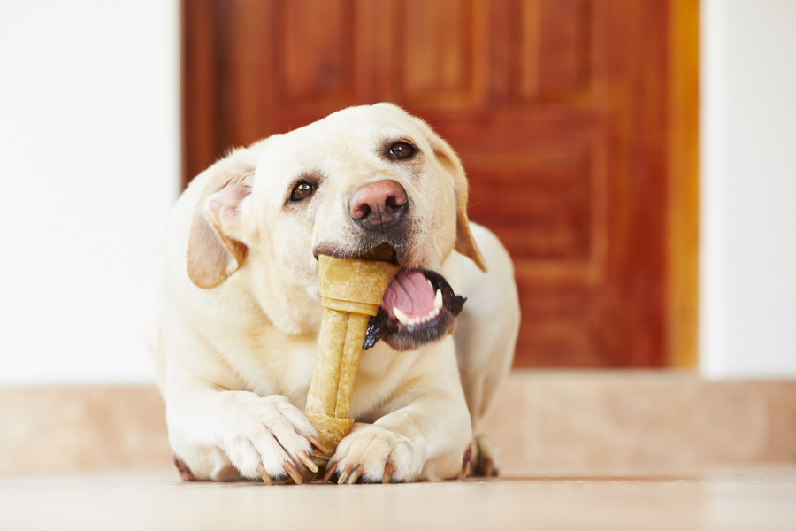 IStock 491995243