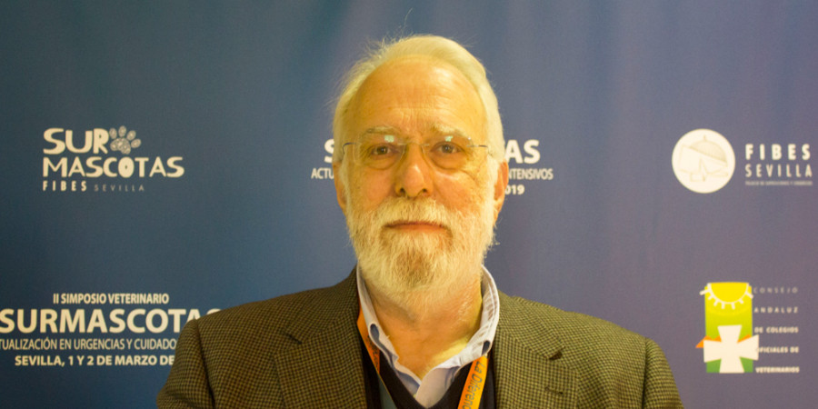 Ignacio Oroquieta Presidente Sevilla