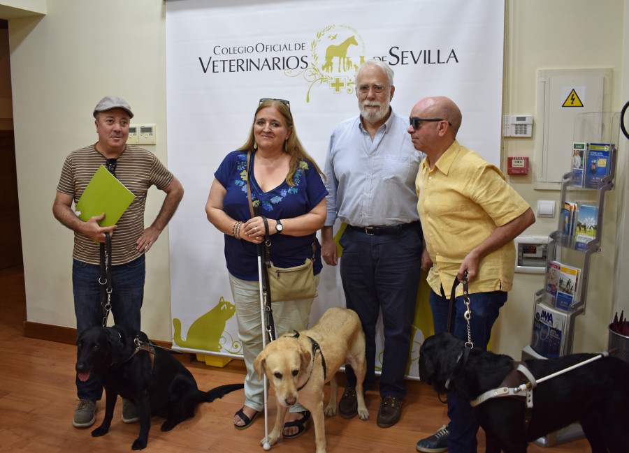 perro guía sevilla