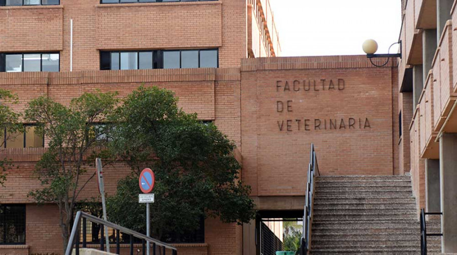 Facultad veterinaria um