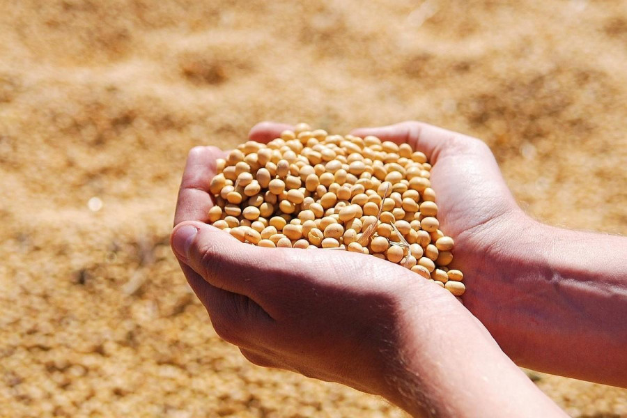 Soybeans hands