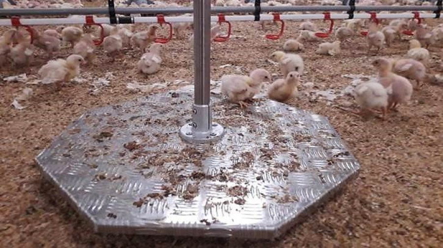 Smartfarm Uabdivulga1