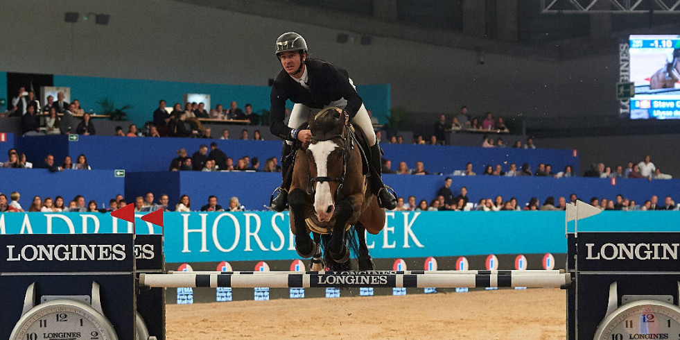 Los veterinarios denuncian un caso de intrusismo en la Madrid Horse Week