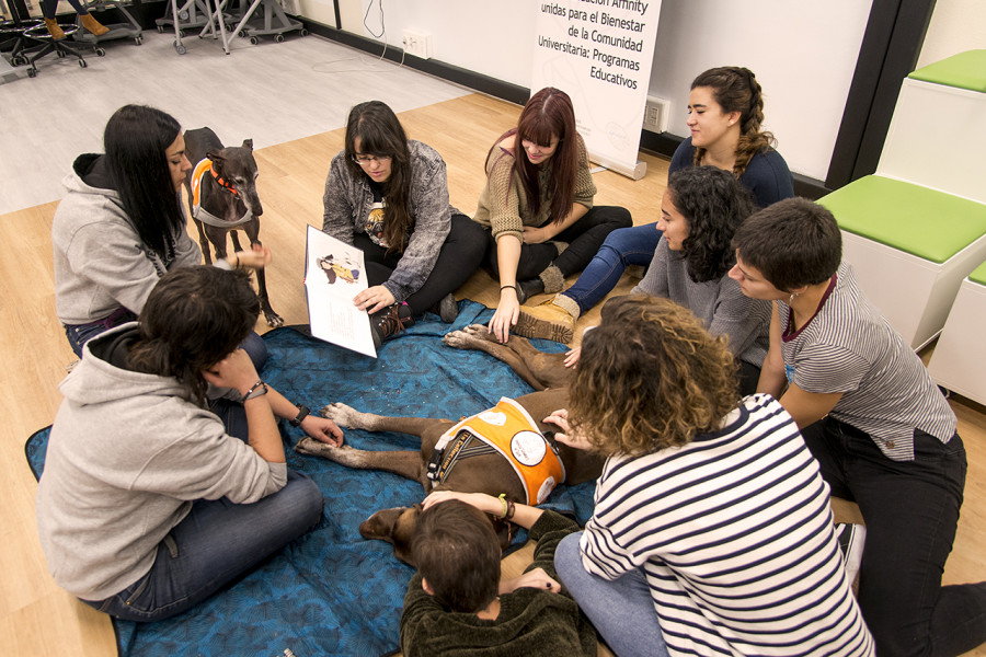 Los Perros Mejoran La Calidad De Vida De Los Estudiantes Universitarios