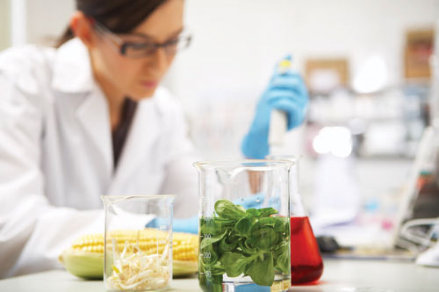 Science in food 500