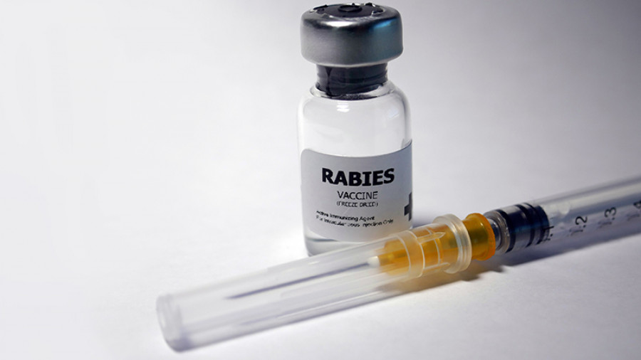 Is 190729 rabies vaccine 800x450