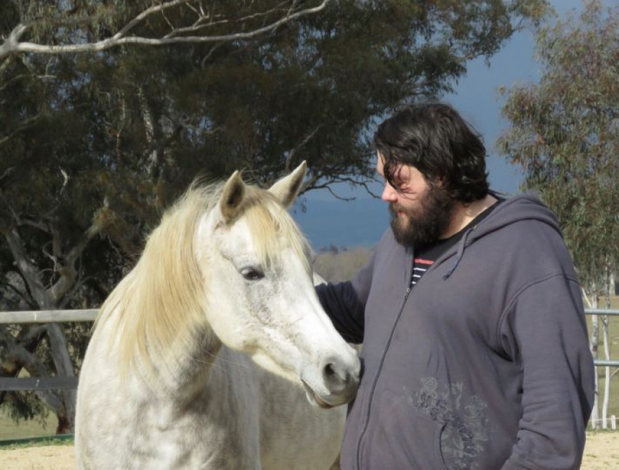 caballo ayuda personas