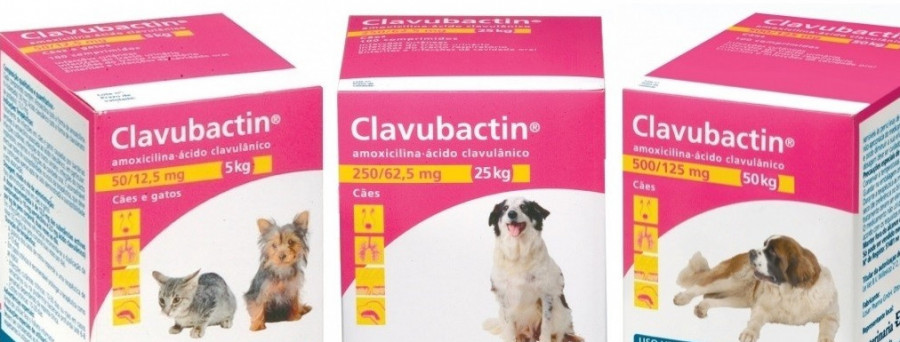 Clavubactin
