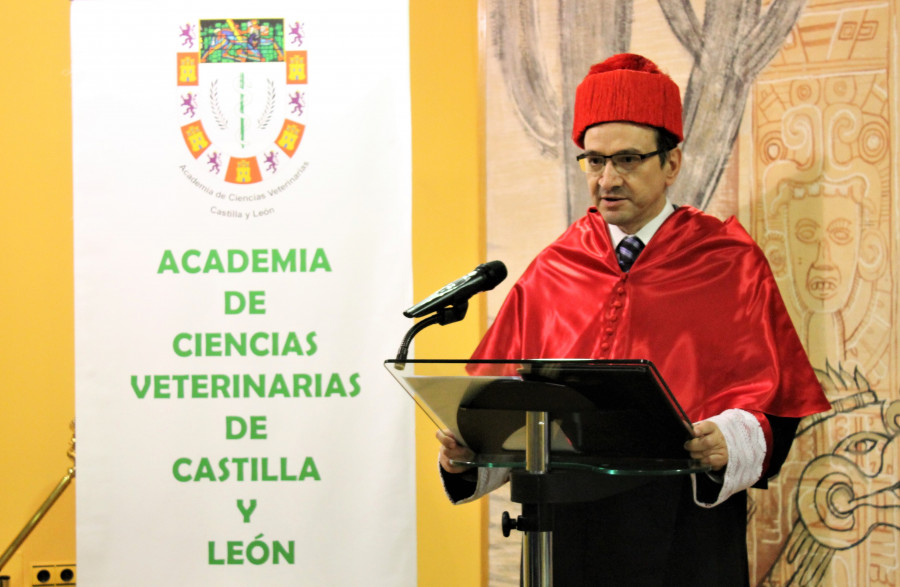 Juan José Fernández Domínguez