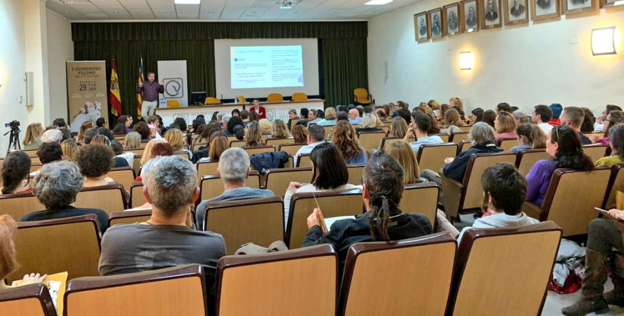 Congreso felino