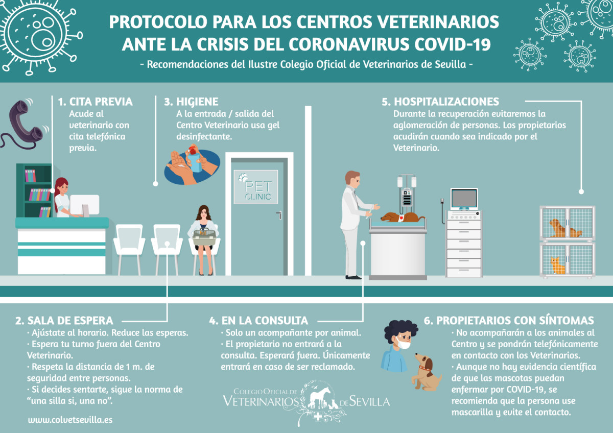 CORONAVIRUS COLVET SEVILLA