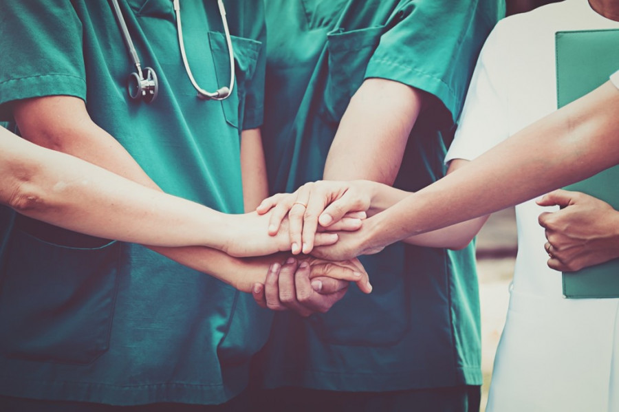 Veterinarios unidos