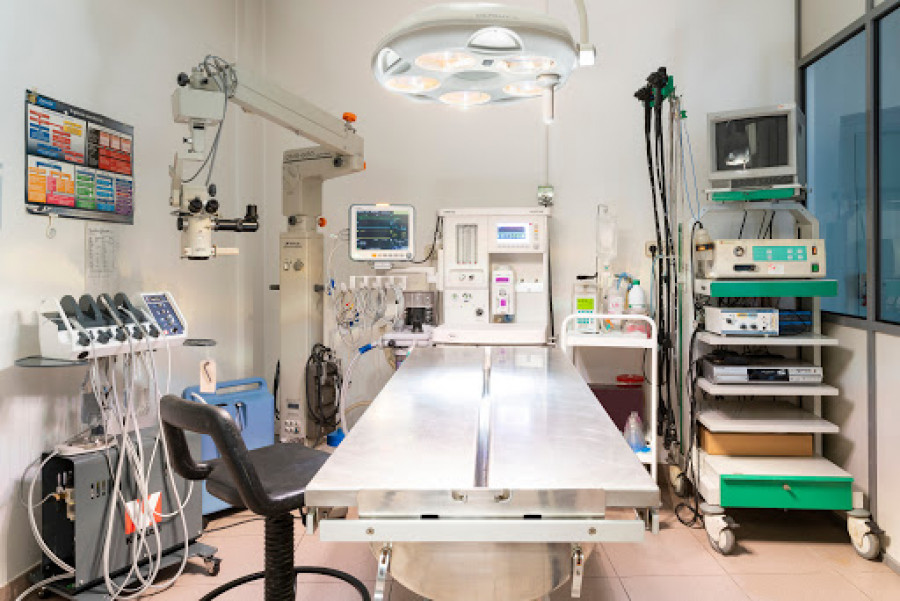 Veterinarios málaga coronavirus