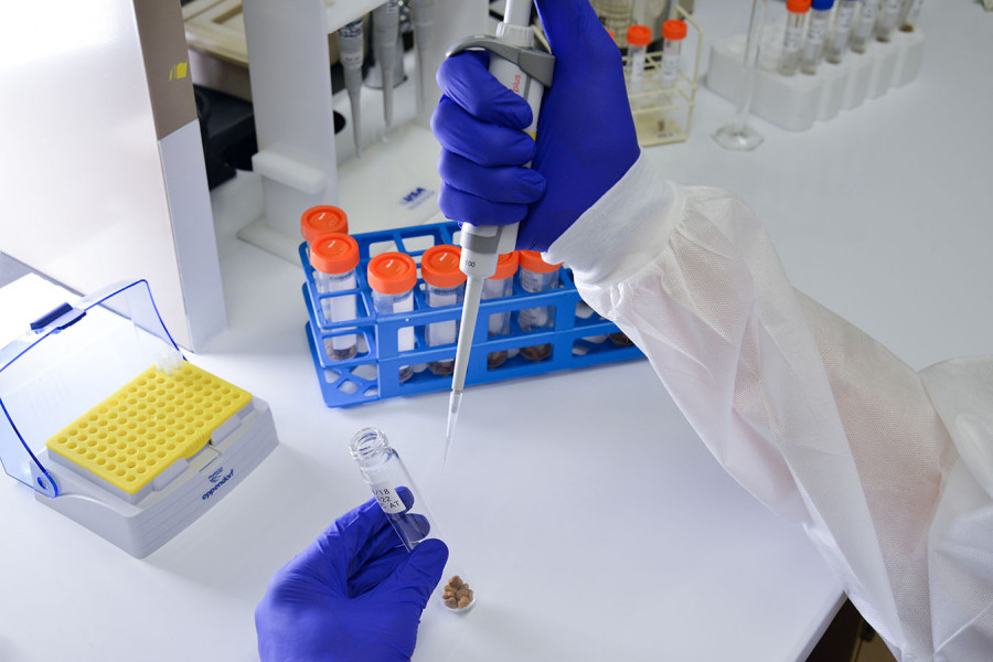 Laboratorio