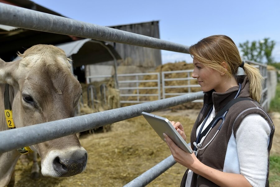 Veterinario granja telemedicina