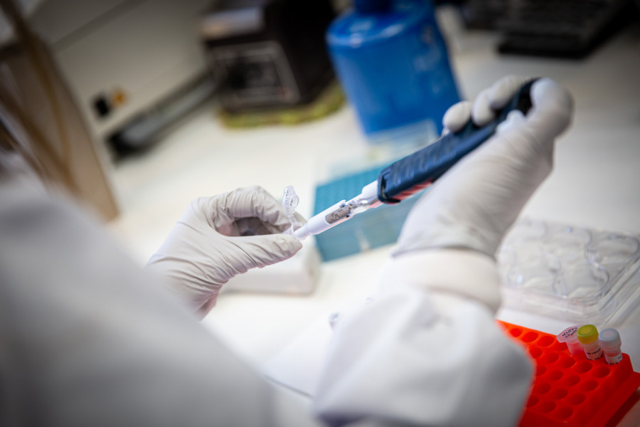 Laboratorio COVID 19