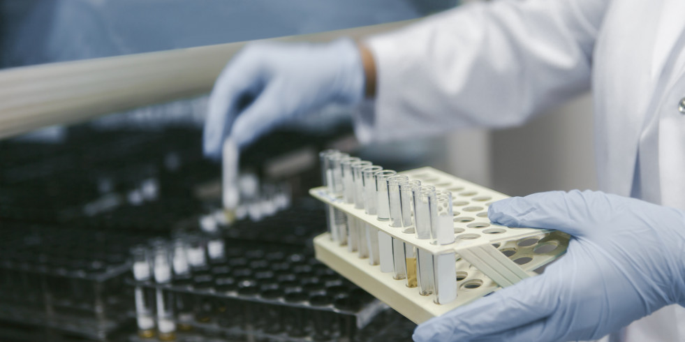 Científicos españoles analizan el papel de los factores ambientales en el ciclo de la enfermedad de Lyme