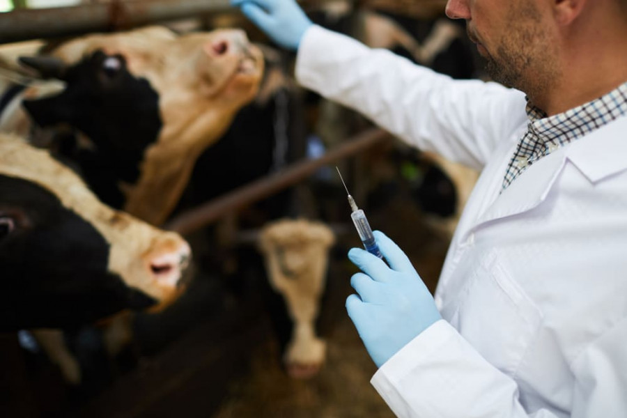 Día mundial vacunación animal 2020