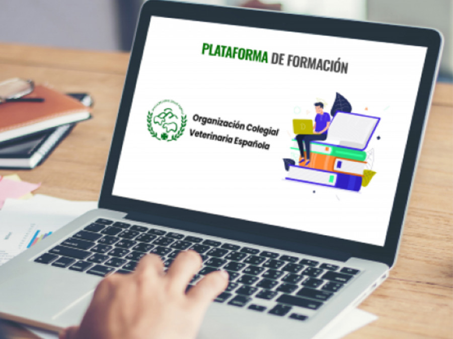 plataforma online organización colegial veterinaria OCV