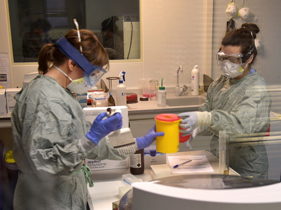 Visavet coronavirus laboratorio