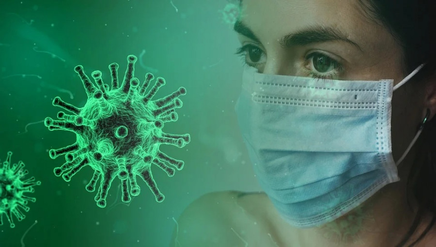 Coronavirus veterinario veterinaria
