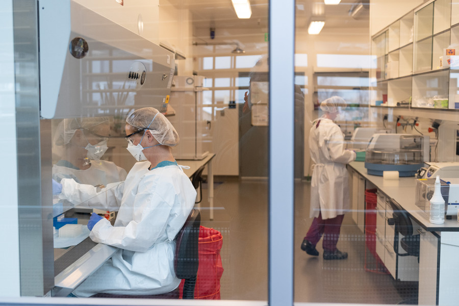 Laboratorio veterinario