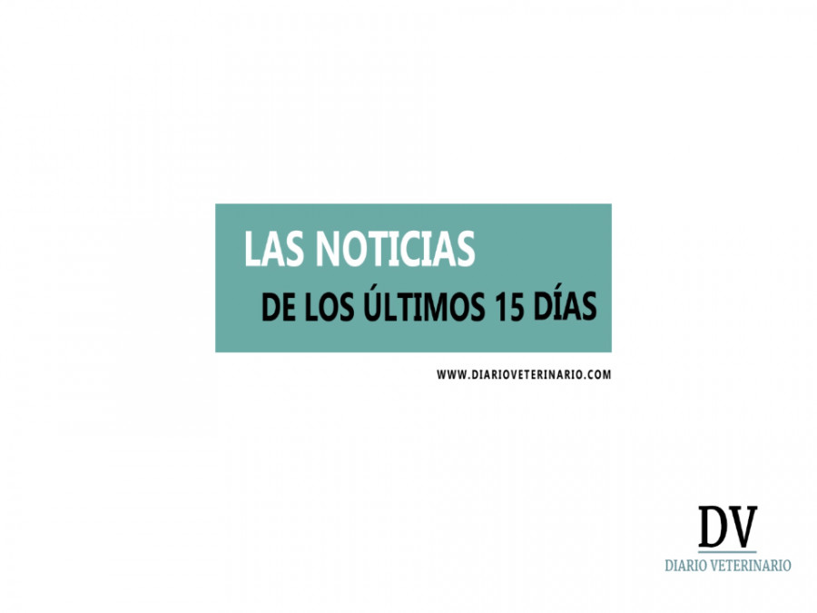 Secuencia 01.Imagen fija002