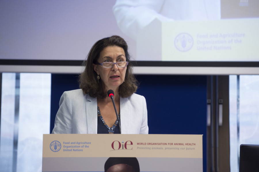 Monique Eloit OIE