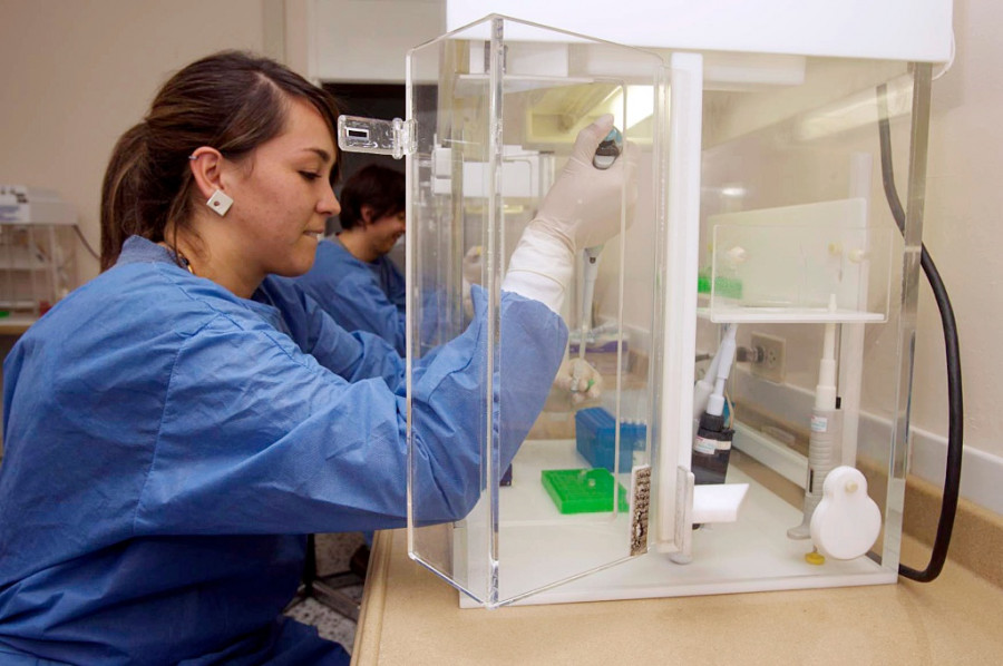 Oncología comparativa cáncer perros