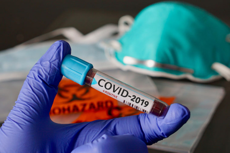 coronavirus covid19 clínica veterinaria