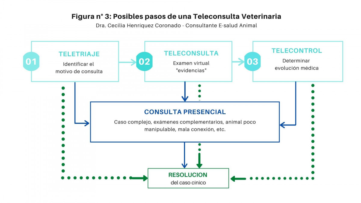 Triaje telemedicina veterinaria