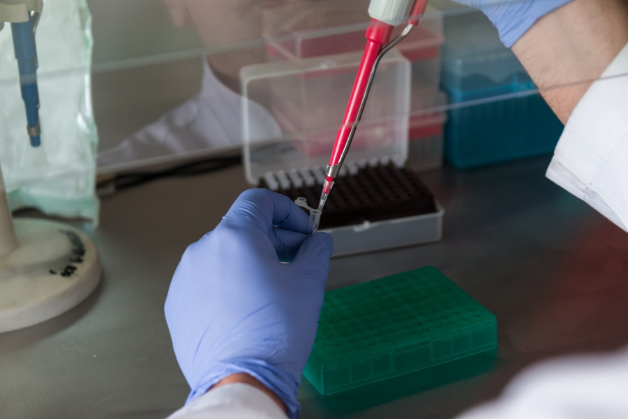 antibiótico veterinario inhibe coronavirus sarafloxacin
