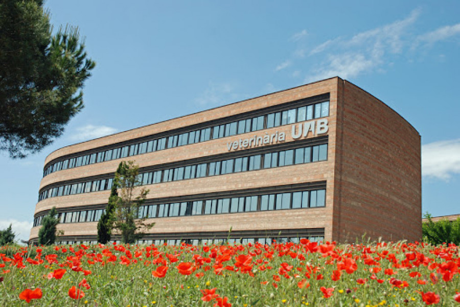 Facultad veterinaria barcelona