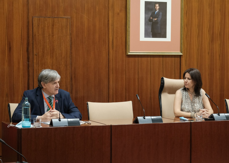 veterinarios comisión andalucía coronavirus