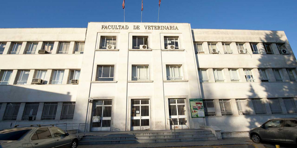Estudiar Veterinaria en la Complutense, entre las más demandadas