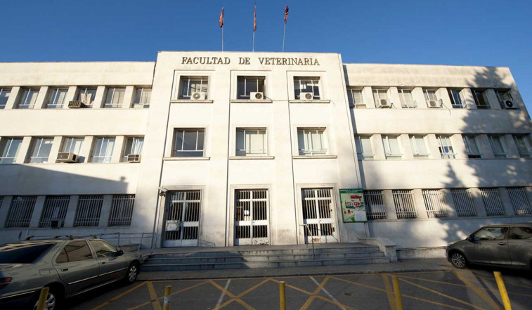 La Universidad Complutense de Madrid convoca becas para estudiantes de Veterinaria
