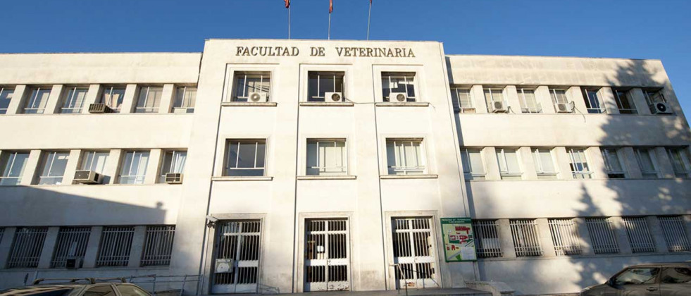 La Universidad Complutense de Madrid convoca becas para estudiantes de Veterinaria