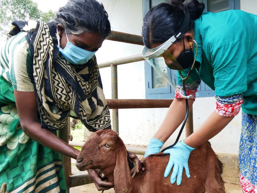 Indian Veterinary Association – Kerala