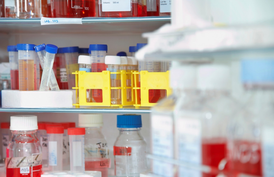 almacenamiento medicamentos veterinarios