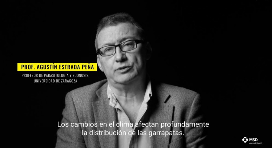 Agustín Estrada Peña