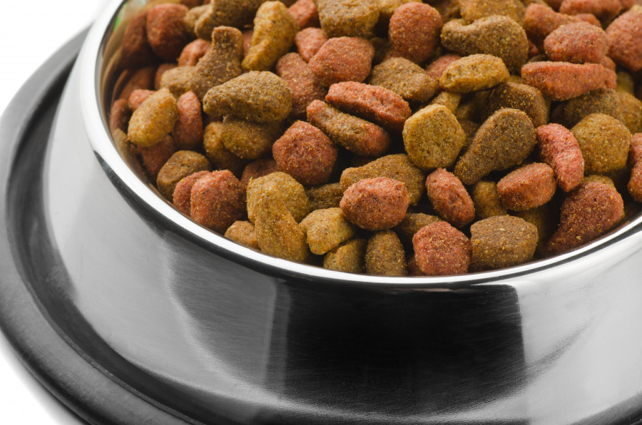 petfood comida mascotas piensos