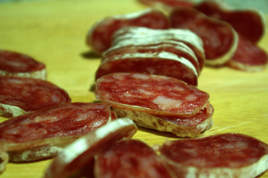 Fuet embutidos sola salmonella