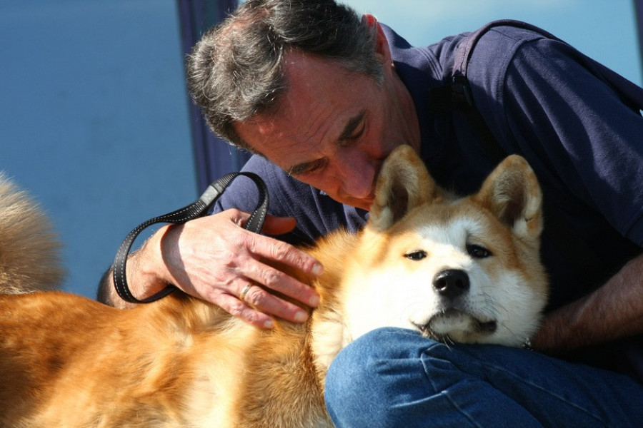 perro ciego