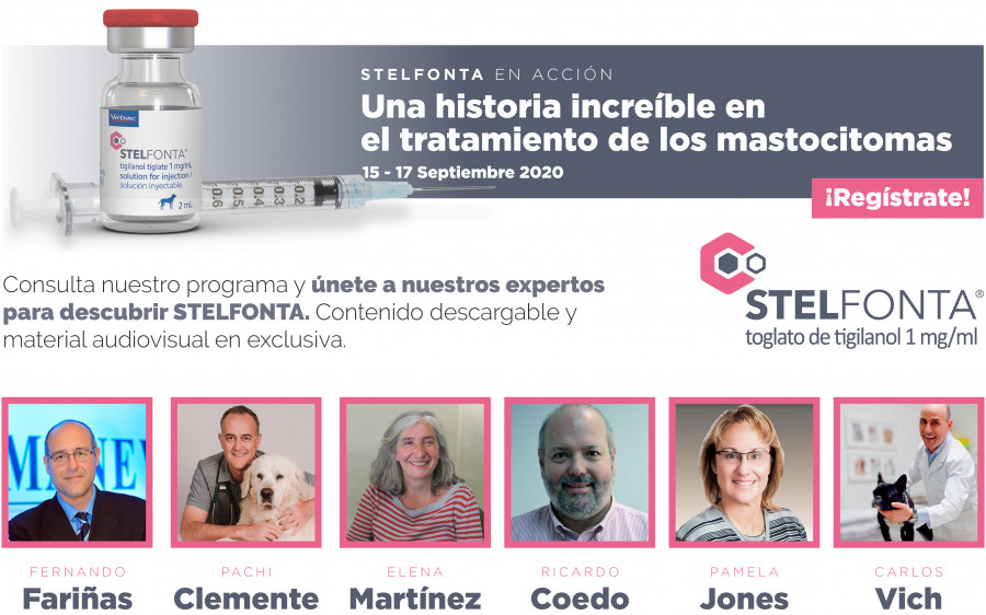 Stelfonta evento