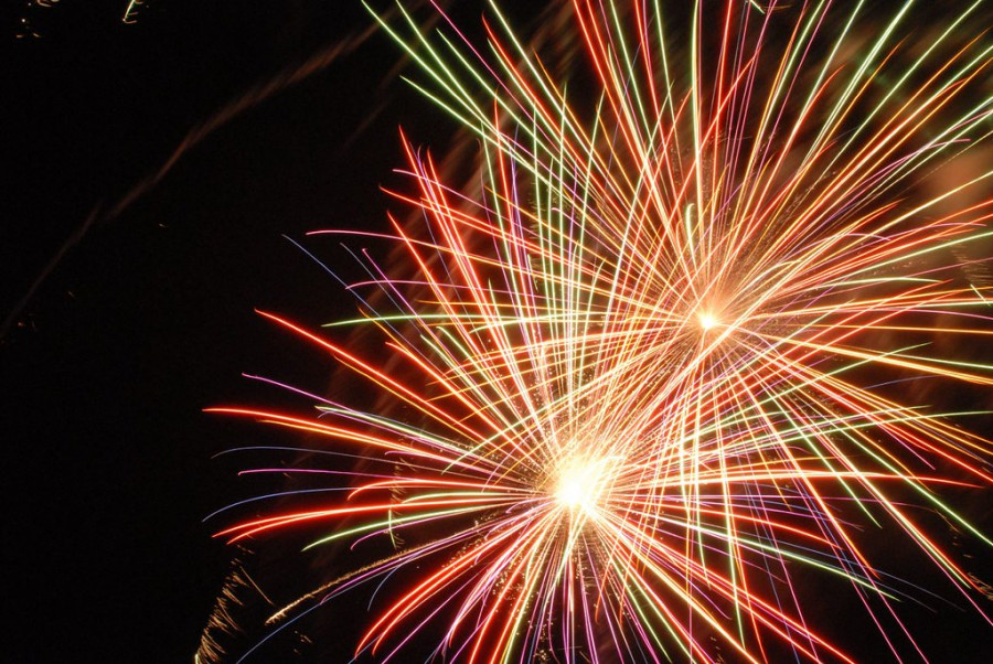 Fuegos artificiales perros