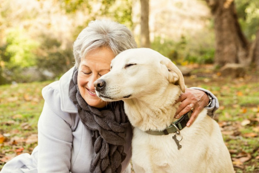 Raza perro anciano persona mayor